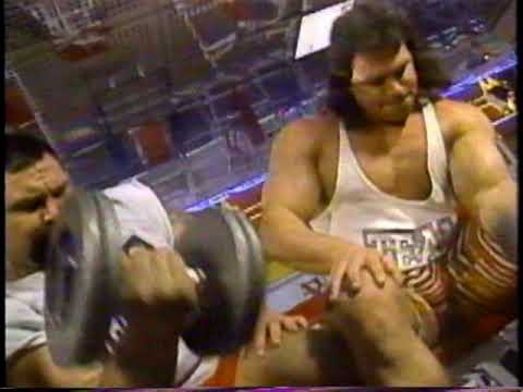 ICOPRO: The Steiner Brothers [1993-06-19] - YouTube