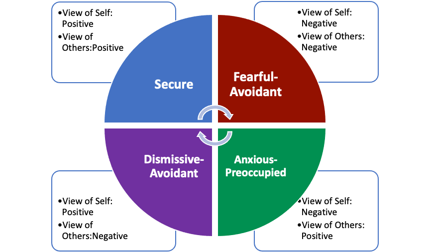 Los cuatro estilos de apego que incluyen seguro, evitativo temeroso, ansioso-preocupado, y desdesivo-evitativo
