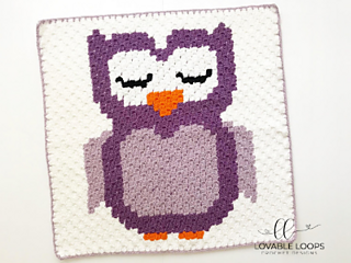 owl blanket c2c graph on white background