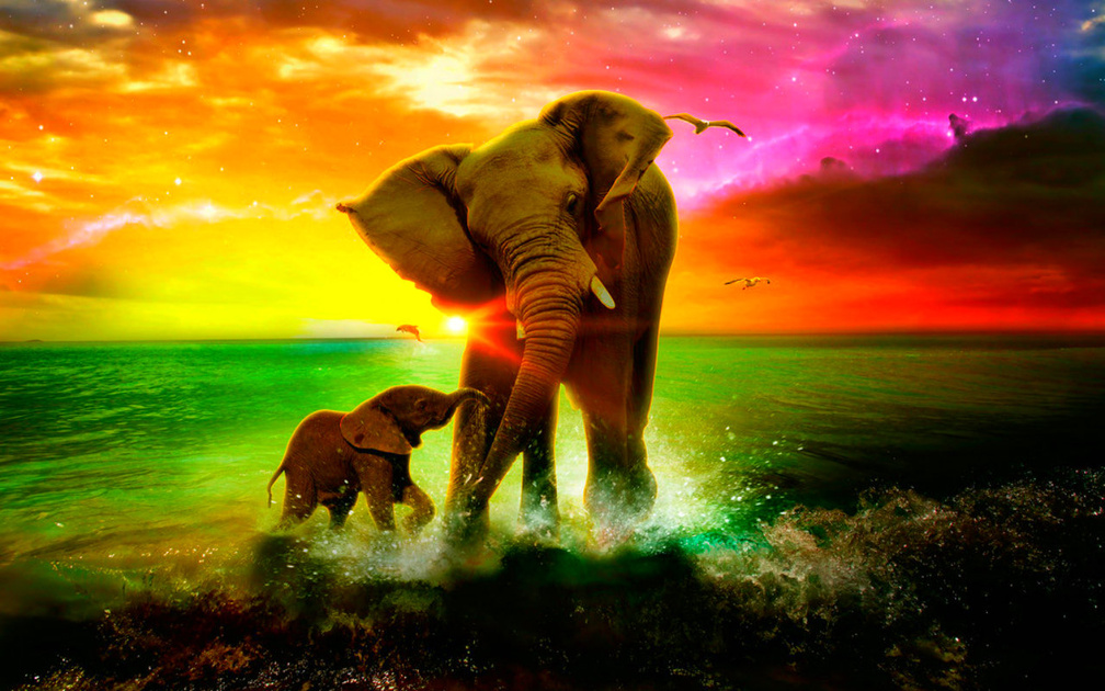 Mother And Baby Elephant Painting - 1008x630 Wallpaper - teahub.io