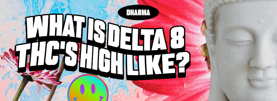 What is Delta 8 THC's high like?