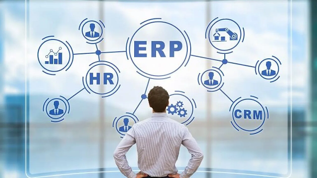 What Types Of Businesses Can Benefit From The ERP System?