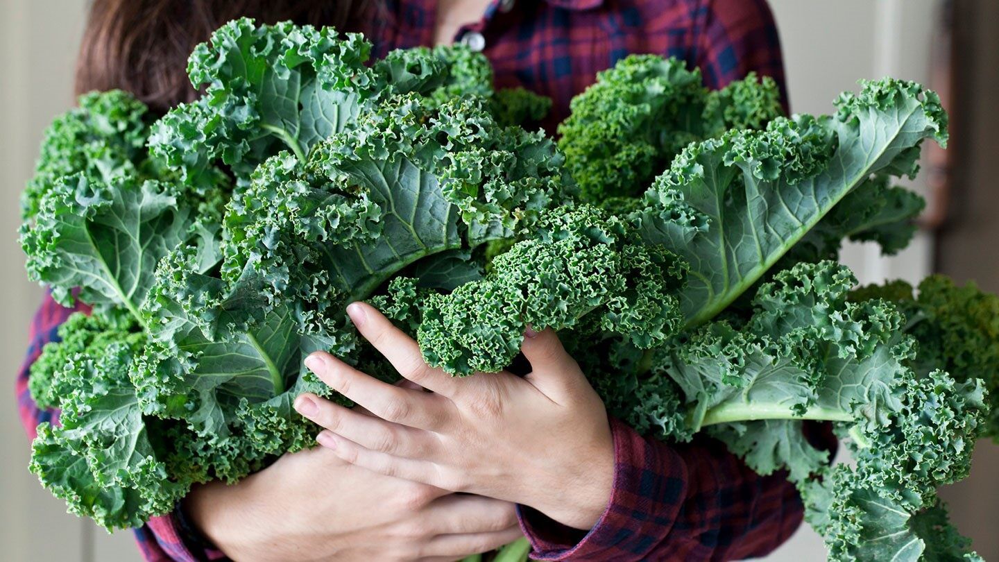 Essential Foods For Vitality