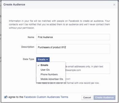 Custom Audience vs Lookalike Audience