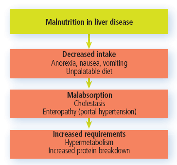 Etiology of malnutrition in liver disease
