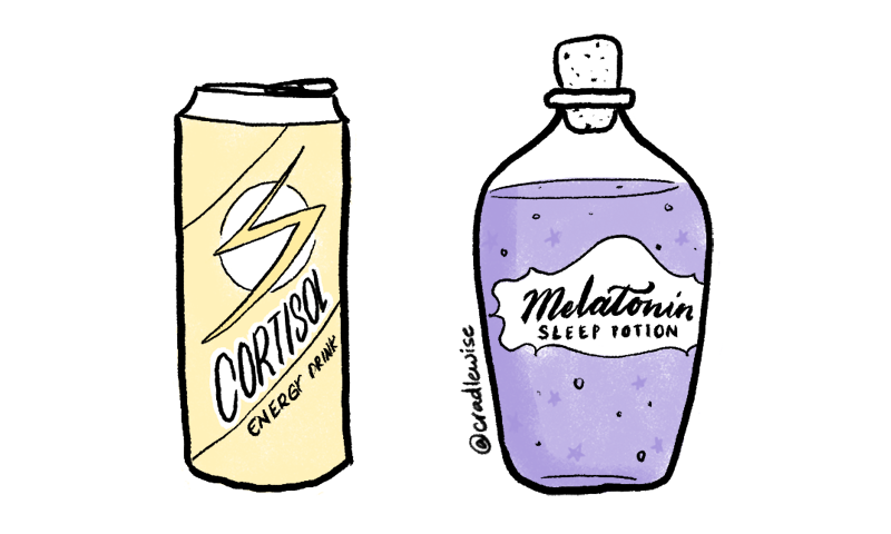 Bottle of energy drink depicting cortisol and bottle of sleeping potion depicting melatonin
﻿