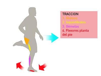 Tracción del pie en el suelo al correr