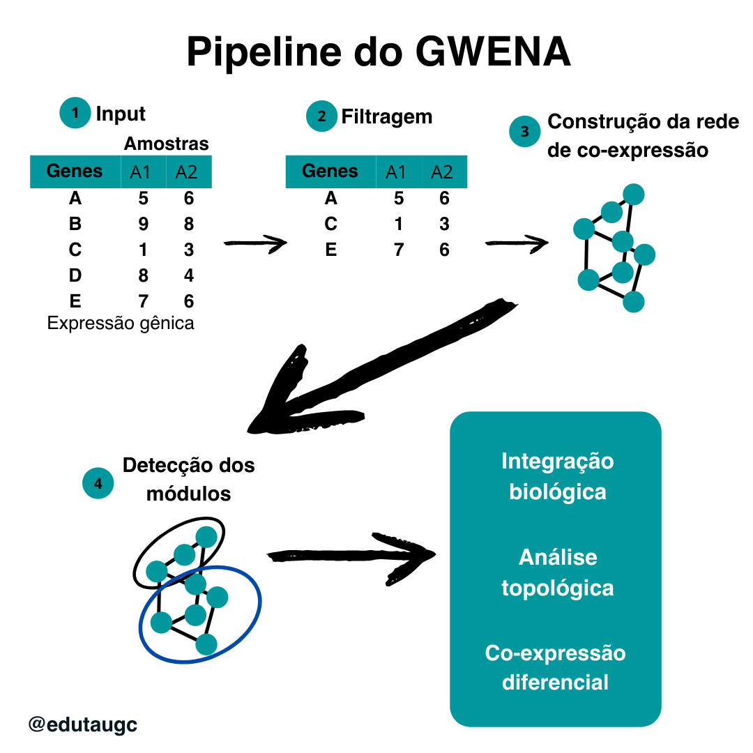PDF) Geração de redes de co-expressão de genes utilizando