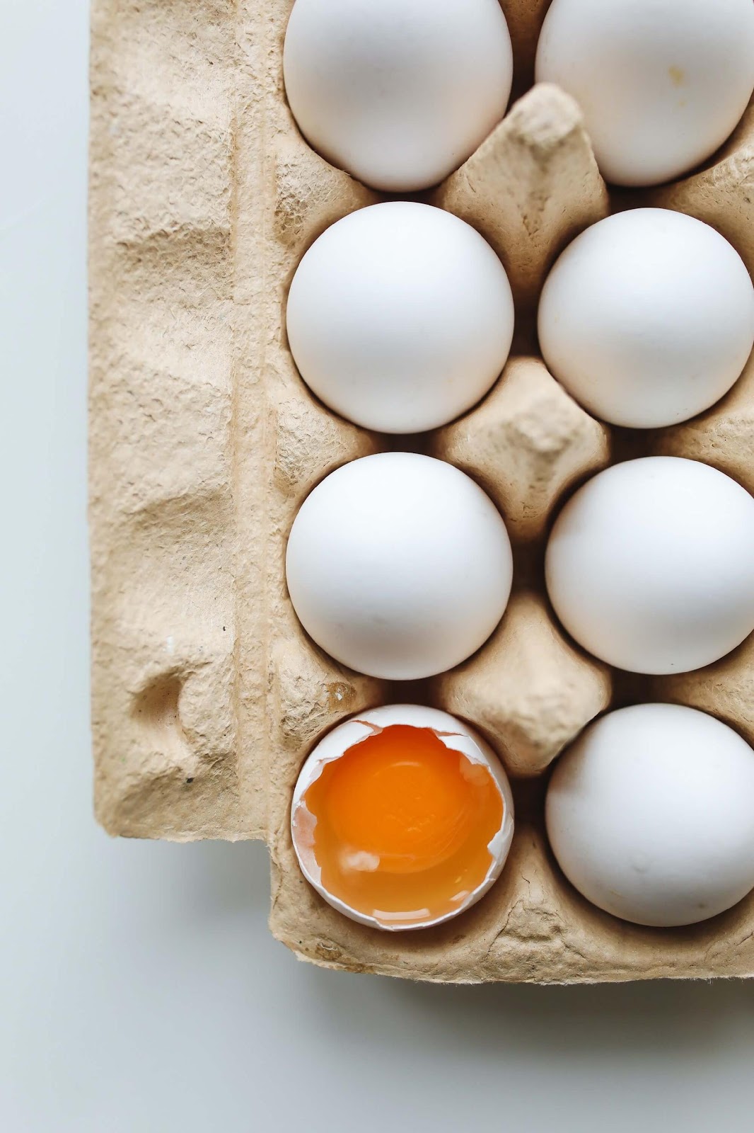 egg