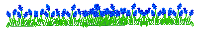 E:\school\mvaughn (TNOCWEB141WEBdocsschoolsVALfaculty)\bluebonnets.gif