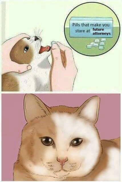 Two cartoon images, one on top of the other. The top image is a hand feeding a cat a pill with a bottle next to the cat that is labeled "Pills that make you stare at future attorneys". The bottom image is the same cat staring in your direction.