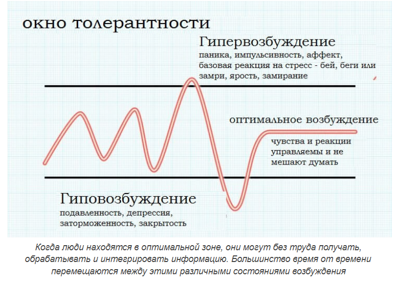 Реакция на стресс замри. Окно толерантности в психологии. Окно эмоциональной толерантности. Реакция на стресс. Окно толерантности к стрессу.