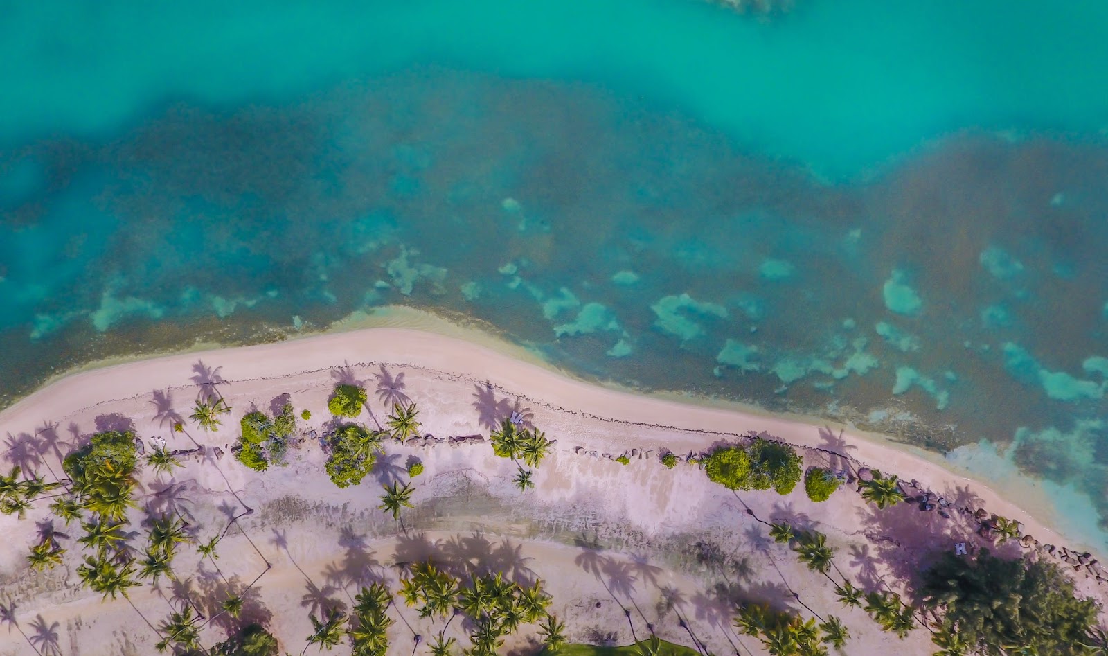 Aerial view of a beach in Puerto Rico