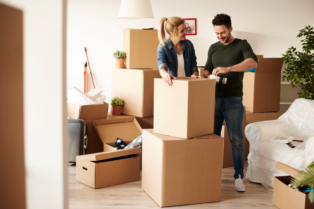 best movers, tampa bay