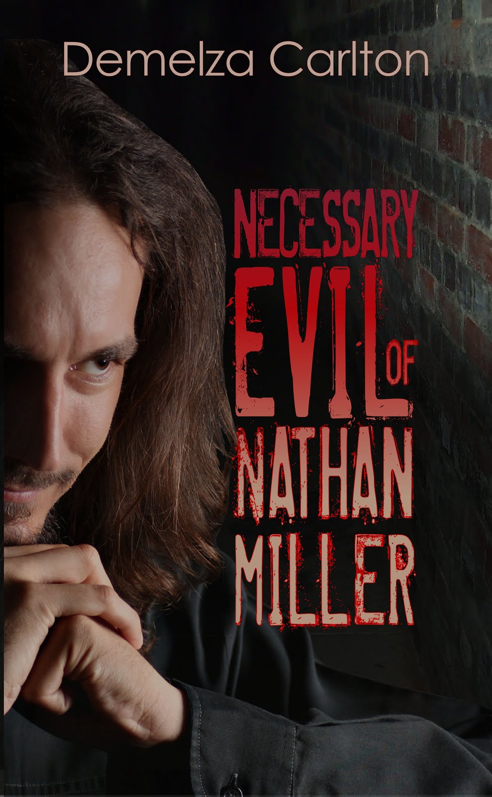 Necessary Evil ebook v3.jpg