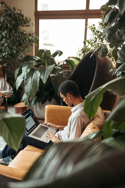 Perth coworking space Soto Co has leafy green pods and cosy lounge areas