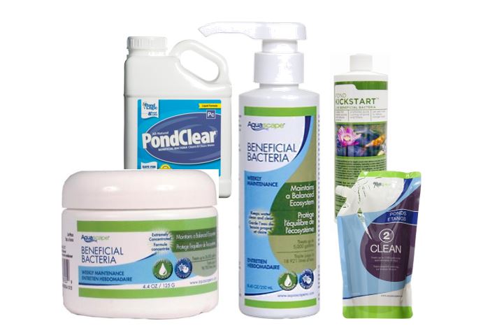 Different kinds of beneficial bacteria for your backyard pond.