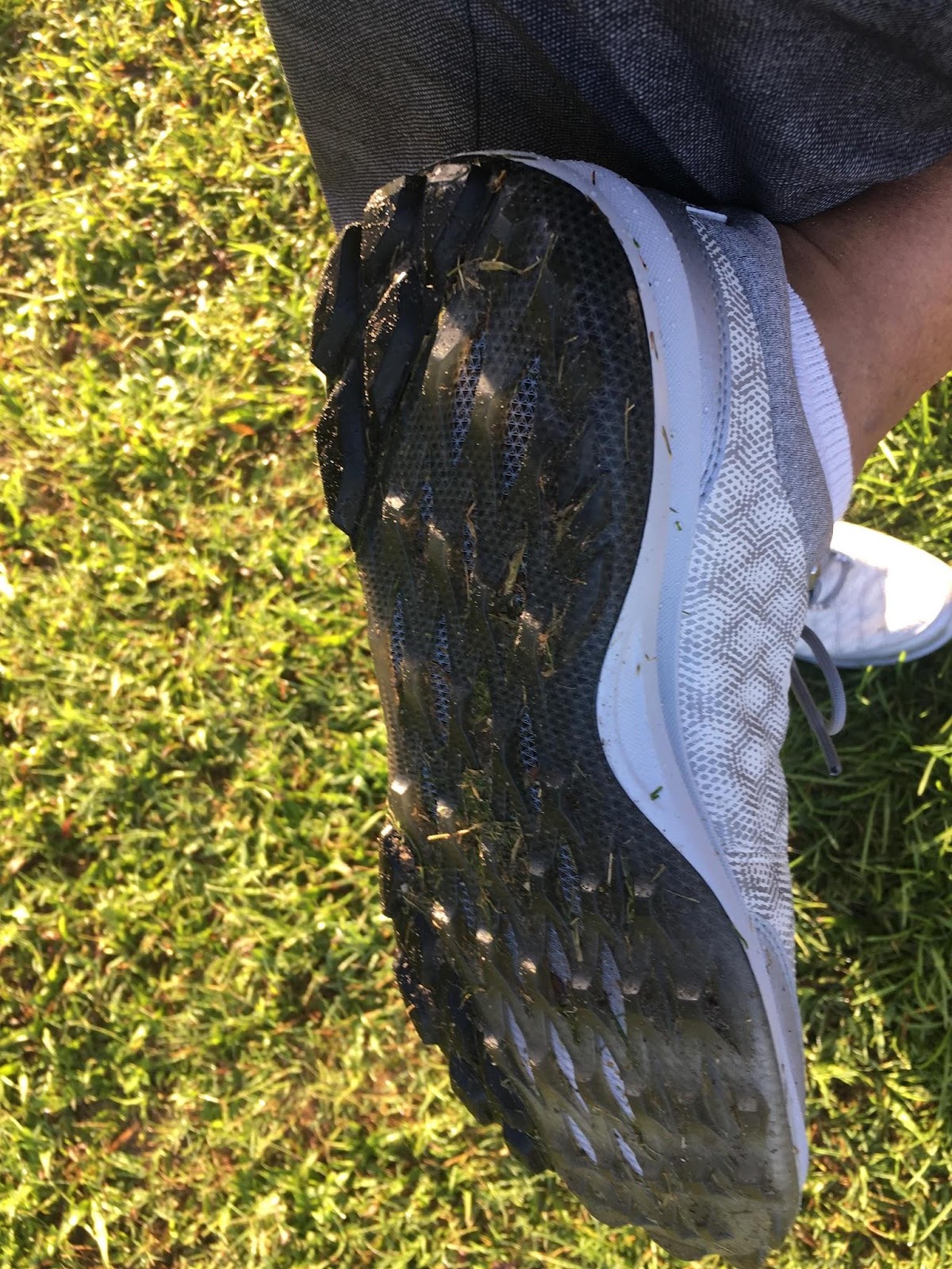 biom hybrid 3