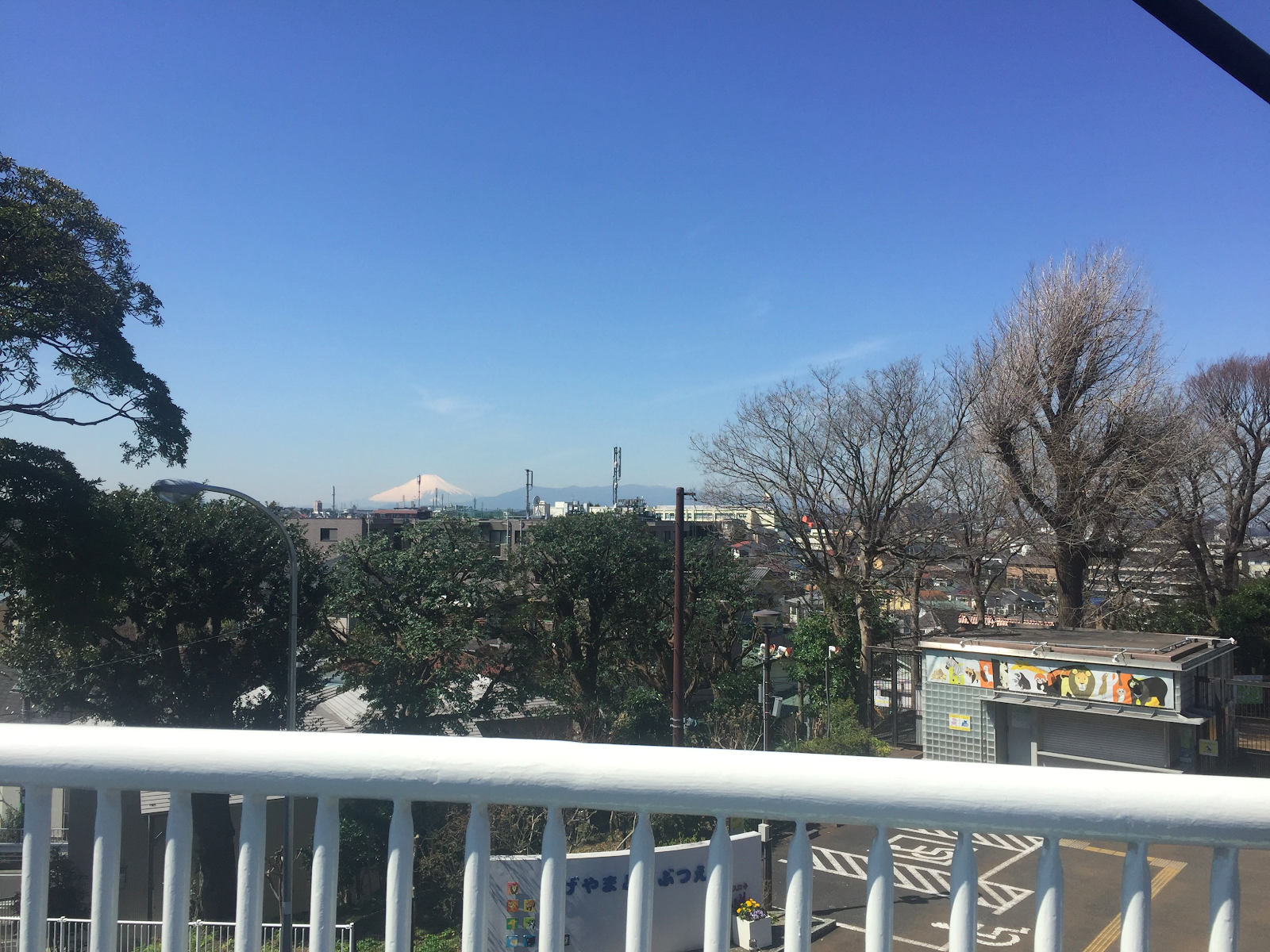 横浜の野毛山動物園は無料で楽しめる立地も最高 横浜で暮らそう