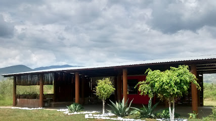 Restaurant Los Laureles - Carr. a Puerto Ángel Sur N, 71256 San Bartolo Coyotepec, Oax., Mexico