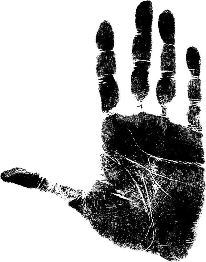 https://lh5.googleusercontent.com/Qv788lFumHOdlmpacmZkZ-sNWFX3A35CkmAwL8ZGiwqMzeMk5juZCXsN01T1B1KZ0o5tn_kjNrNyPVDLdZtbYl84LVWdJI8GkUO2lW_SCc0bSBE3u6Z1LGMA_7sF3BusHrkuE5i0z5oDHKwUbOVja7xjJXwQ350m8rKgSPlTJ-VfppYP8GM1eMSPEa8pRNtGuSj9xnQzvQ