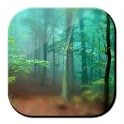 Forest Live Wallpaper 3D apk