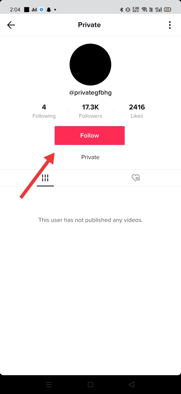 What are the best private tiktok account viewers