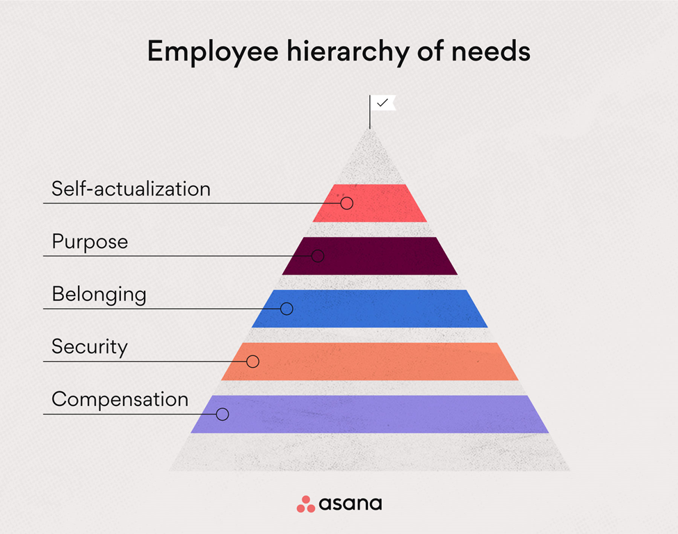 infographic of employee hierachy of needs.