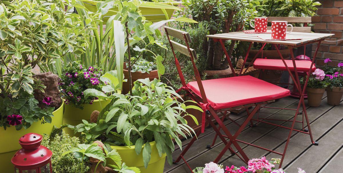 15 Best Balcony Plants - Apartment Balcony Plant Ideas