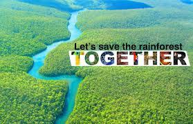 Let's Save The Rainforest Together | Worlds of fun, Rainforest