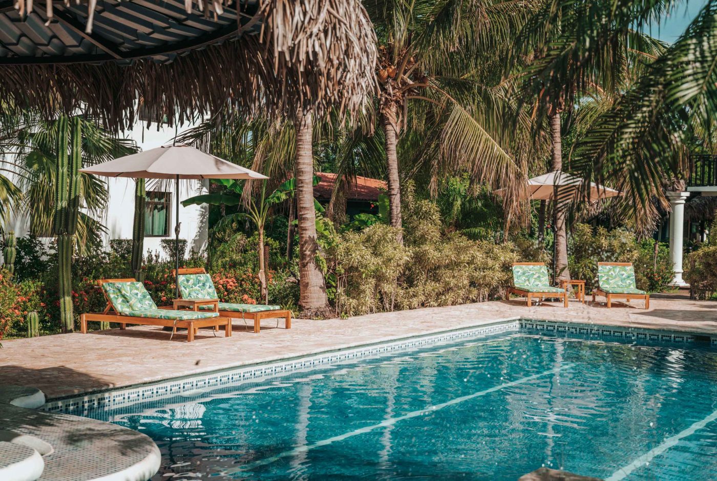 Guide to Ecotourism in Costa Rica