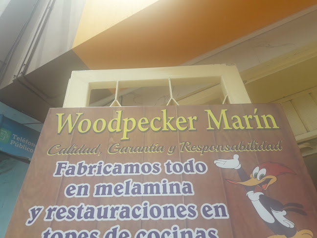 Opiniones de Woodpecker Marín en San Martín de Porres - Interiorista