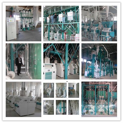 different capacity wheat flour mill installed line
