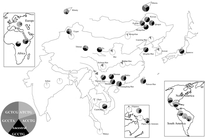 Geographic and racial distribution of the ALDH2*2 allele