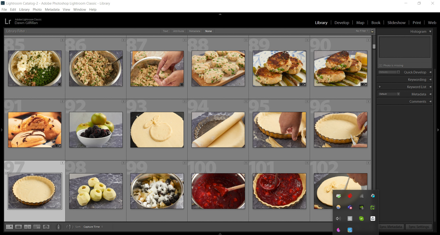 Organizing images in Lightroom