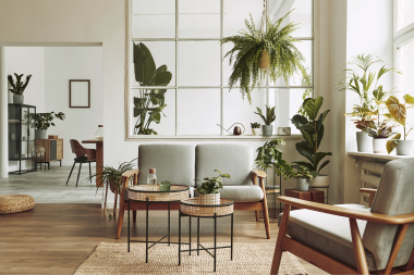 biophilic design in living room luxury interior designs 2025 custom built