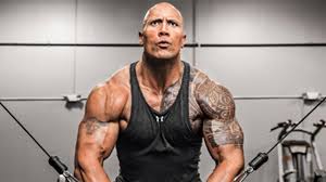 Image result for the rock