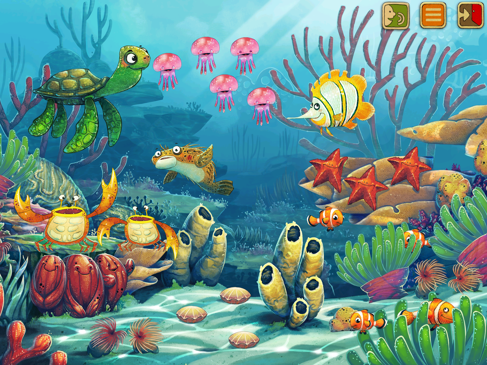Ocean.png