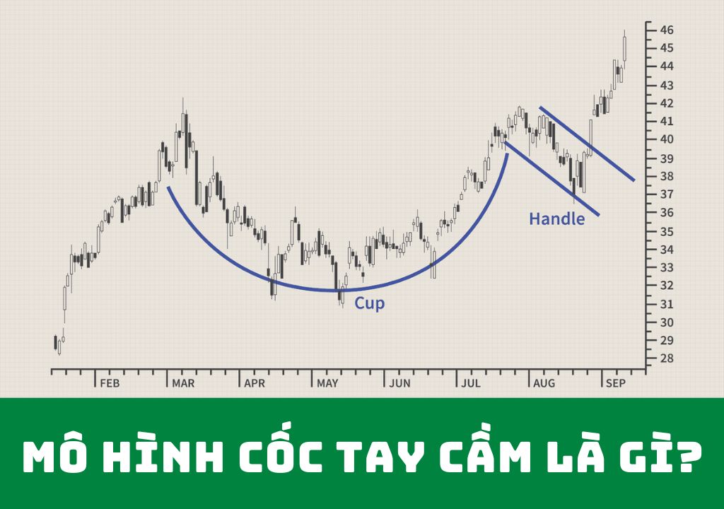 Mô hình cốc tay cầm