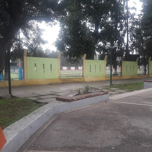 ESCUELA DE FUTBOL ZELA - Campo de fútbol