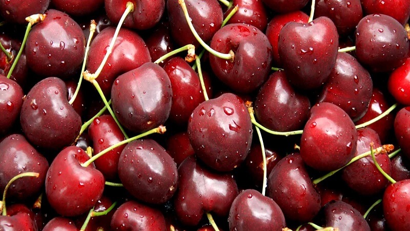 Cherry đỏ Chile có kích thước không đều, vỏ không bóng, màu đỏ nhạt, thịt mềm,