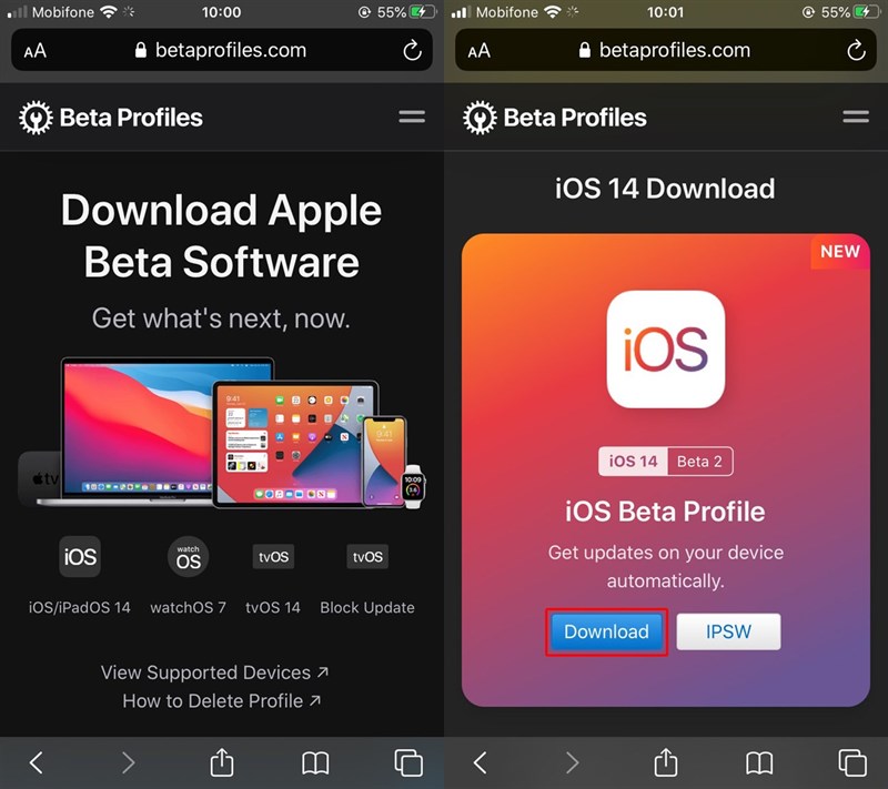 Có nên cập nhật phiên bản iOS 14 Beta 2 hay không?