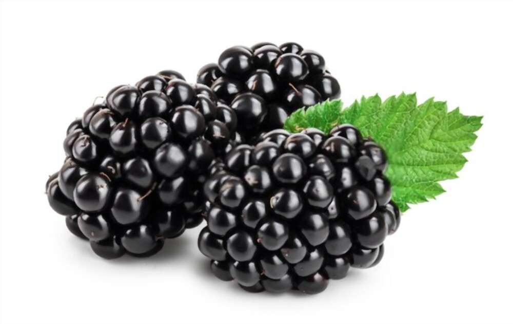  BlackBerries 