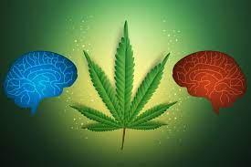 Use of Marijuana Effect on Brain Health | Science News | American Heart  Association - Professional Heart Daily | American Heart Association