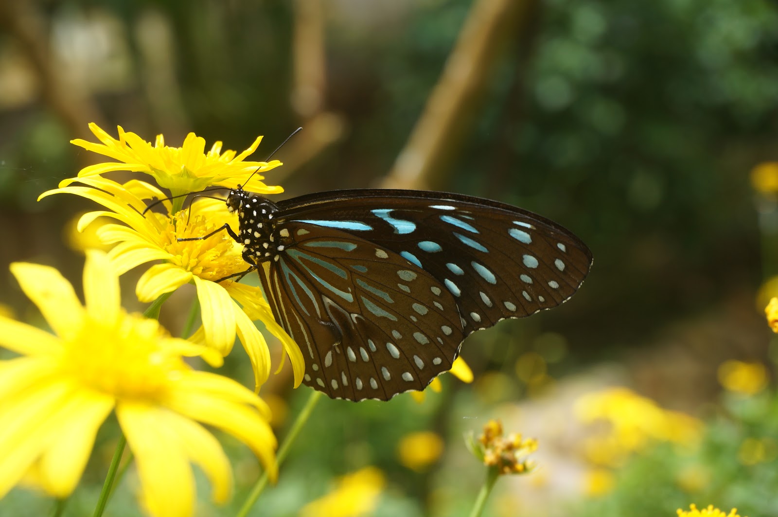 DSC07892.JPG