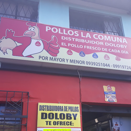 Opiniones de Distribuidora de Pollos Doloby en Quito - Carnicería
