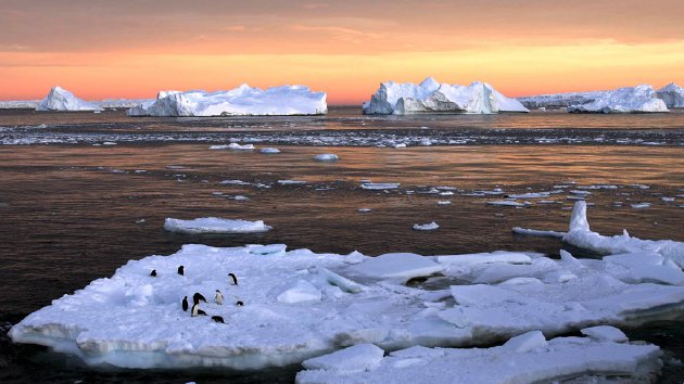 Burung Penguin  bermain di atas es yang sebagian mencair di Dumont d' Urville di Antartika dalam dokumentasi foto tanggal 22 Januari 2010.