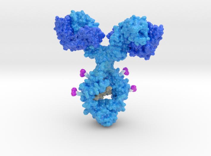 Antibody Drug Conjugate - Biologic Models