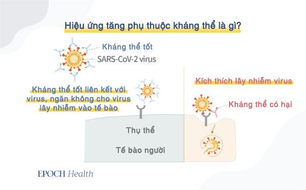 Trung Cộng đã khiến virus phát triển lan tràn như thế nào?