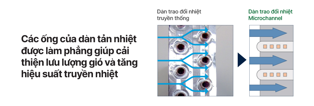 CÔNG TY TNHH LÂM QUANG ĐẠI